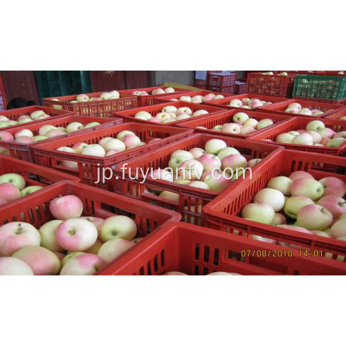 中国の新鮮なガラ・リンゴ